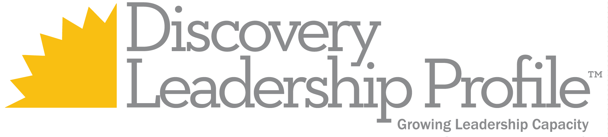 Discovery-Leadership-Profile1