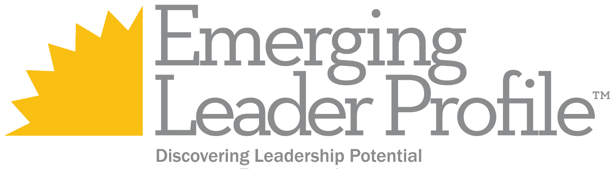 Emerging-Leaders-Profile1